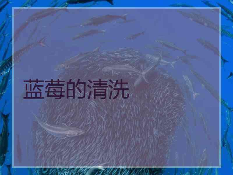 蓝莓的清洗