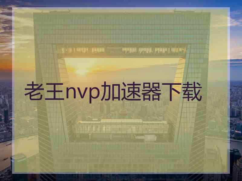 老王nvp加速器下载