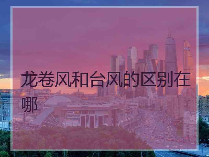 龙卷风和台风的区别在哪