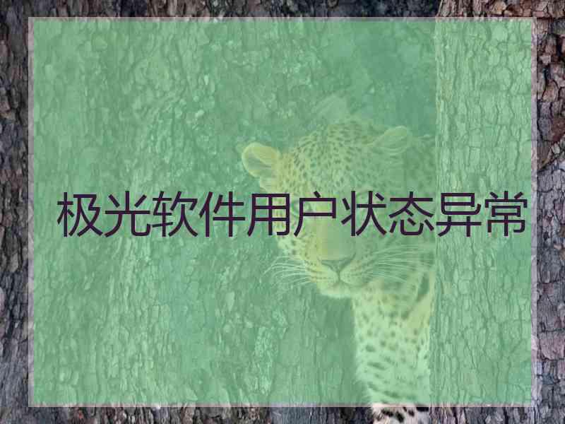 极光软件用户状态异常