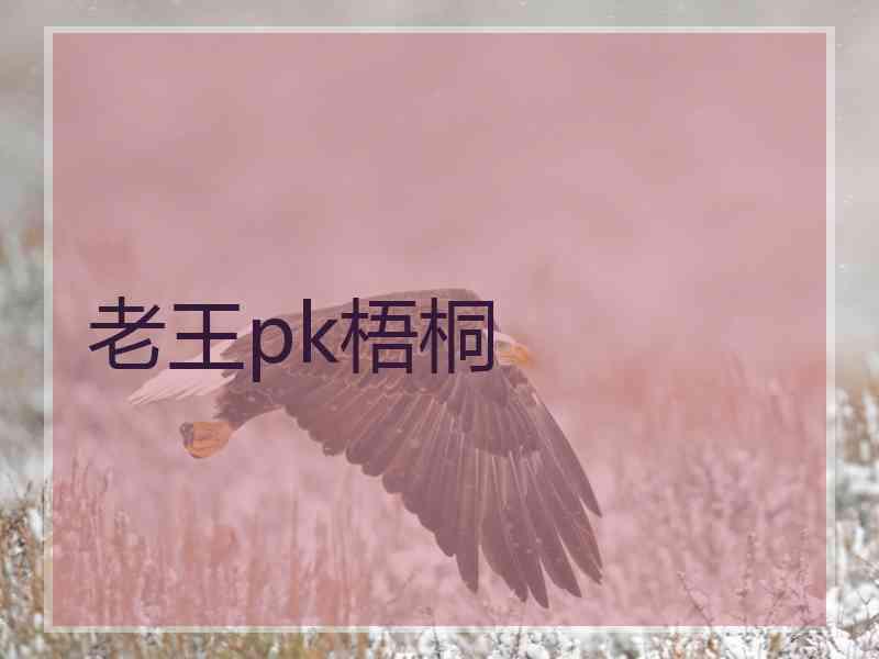 老王pk梧桐