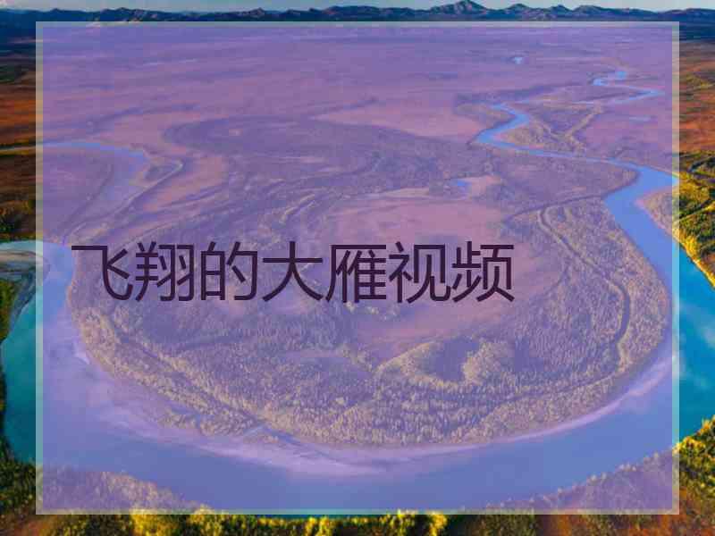 飞翔的大雁视频