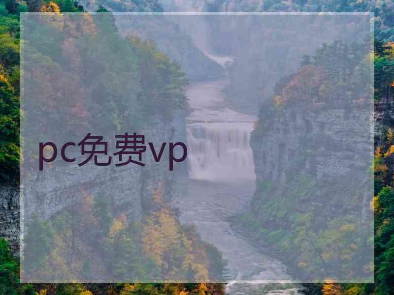 pc免费vp