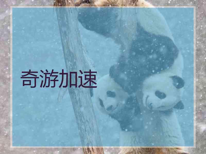 奇游加速