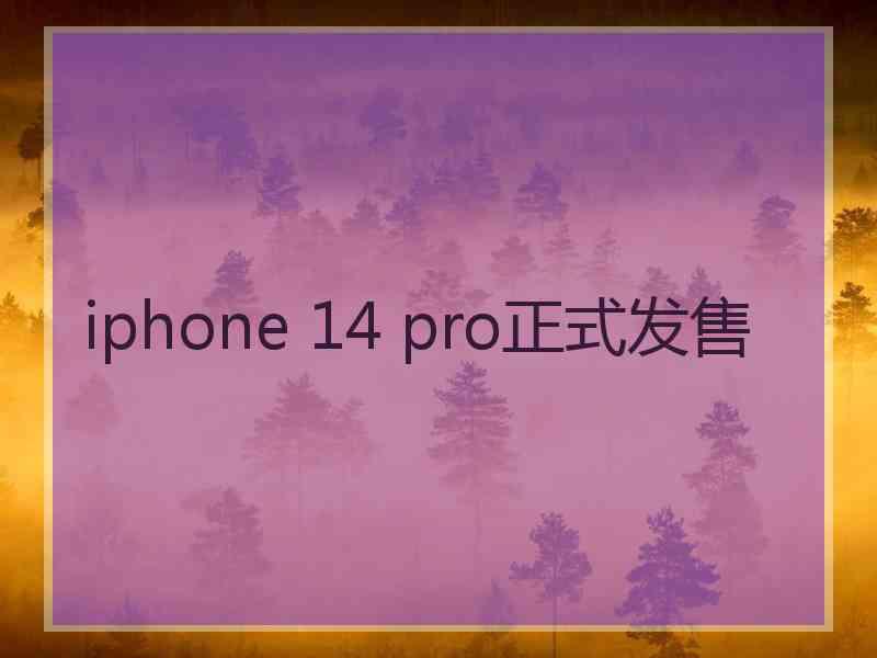 iphone 14 pro正式发售