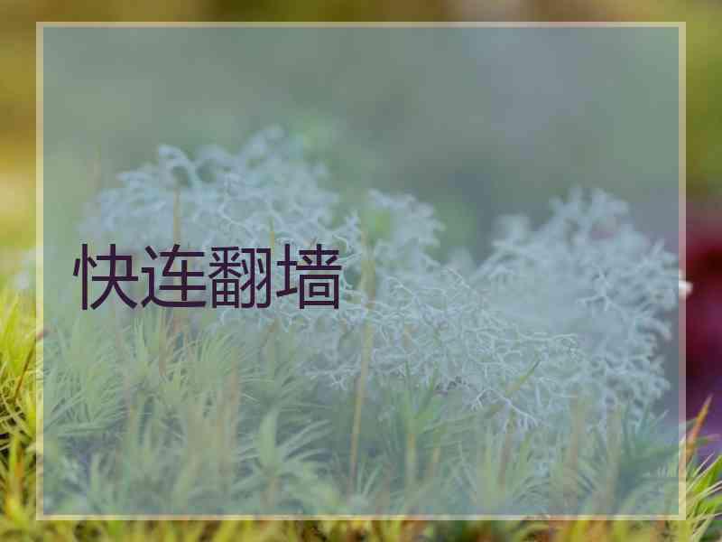 快连翻墙