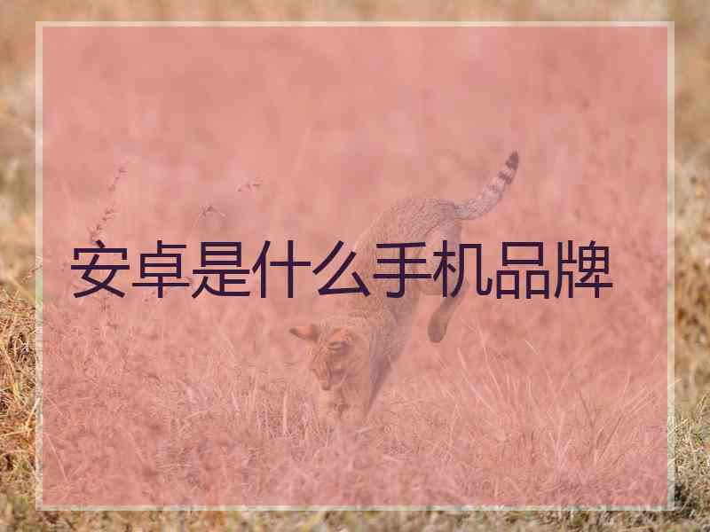 安卓是什么手机品牌