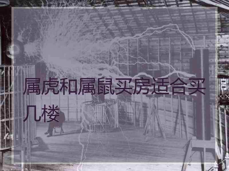 属虎和属鼠买房适合买几楼