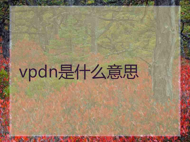 vpdn是什么意思