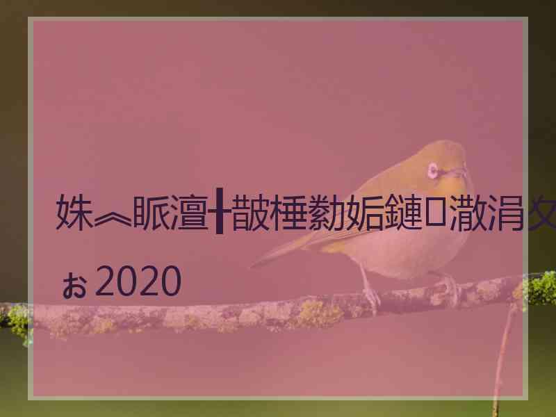 姝︽眽澶╂皵棰勬姤鏈潵涓夊ぉ2020