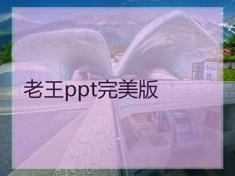老王ppt完美版