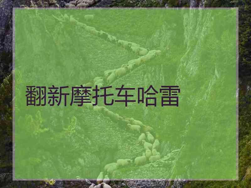 翻新摩托车哈雷