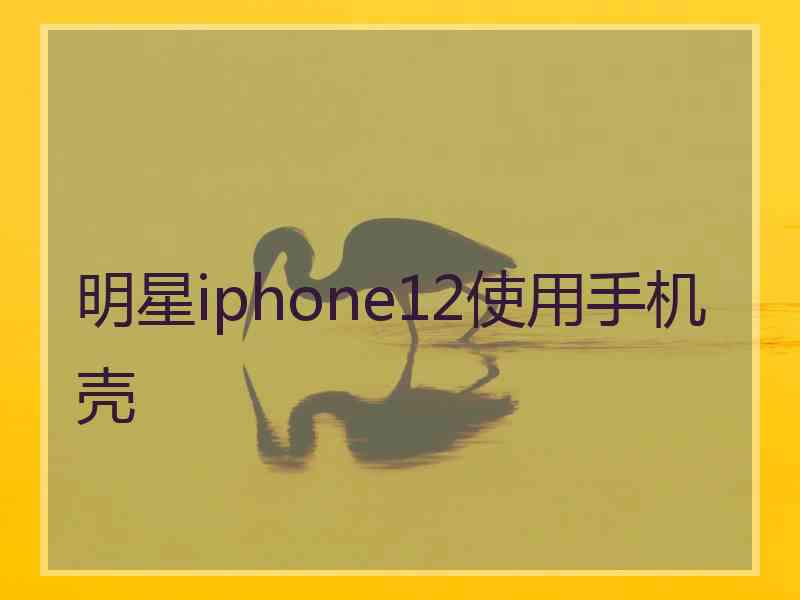 明星iphone12使用手机壳