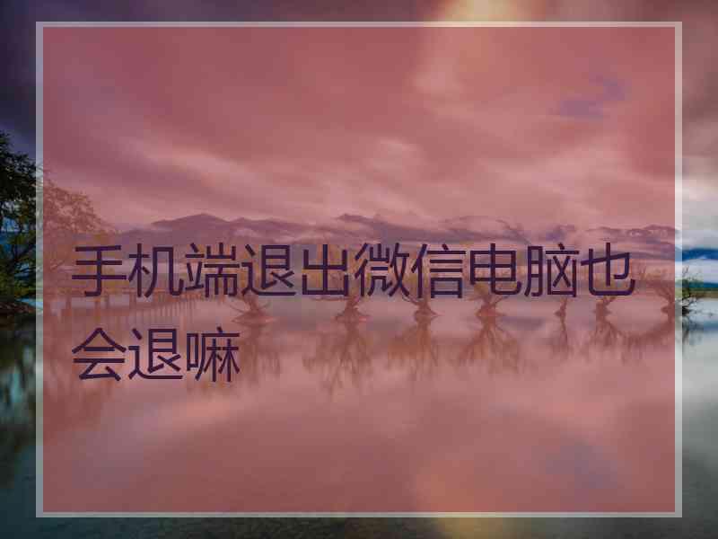 手机端退出微信电脑也会退嘛
