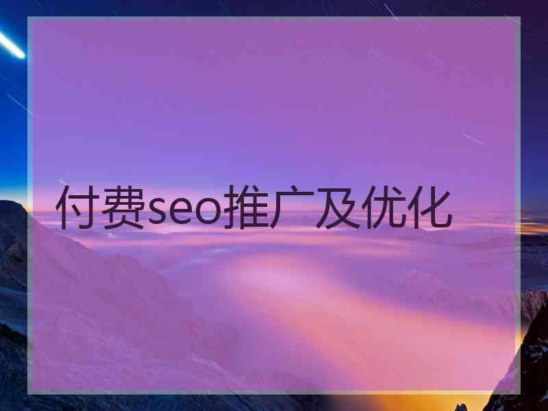 付费seo推广及优化
