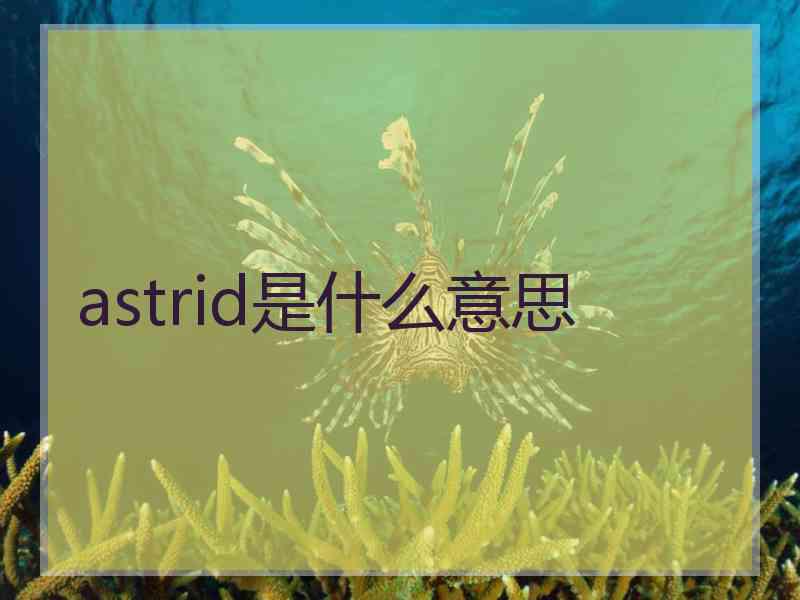 astrid是什么意思
