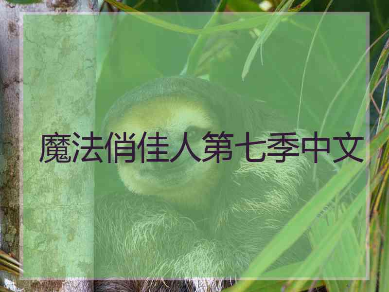 魔法俏佳人第七季中文