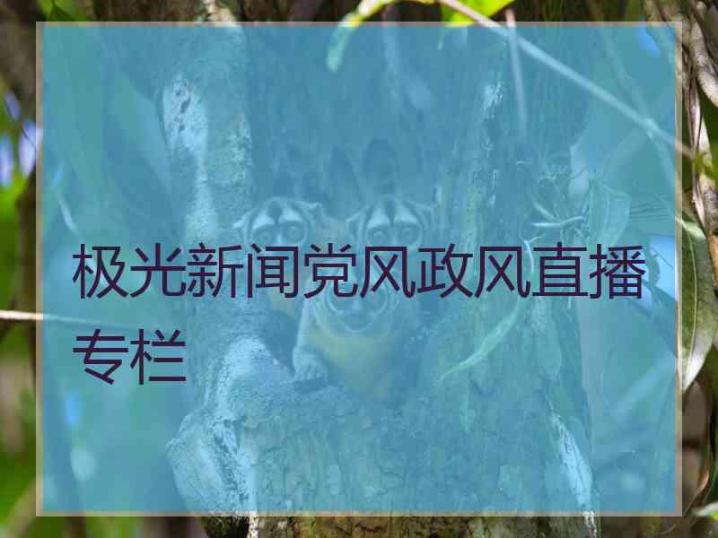 极光新闻党风政风直播专栏