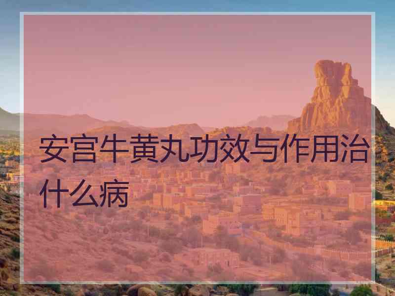 安宫牛黄丸功效与作用治什么病