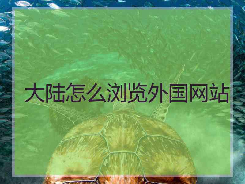 大陆怎么浏览外国网站