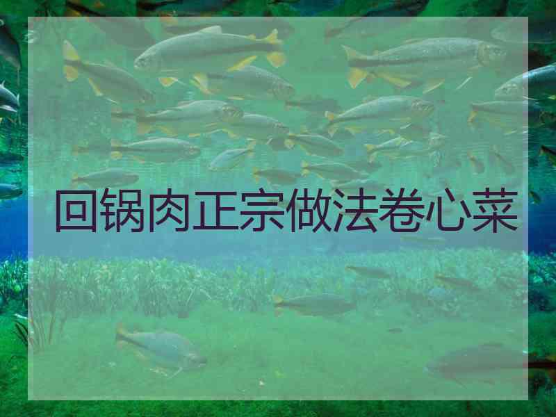 回锅肉正宗做法卷心菜