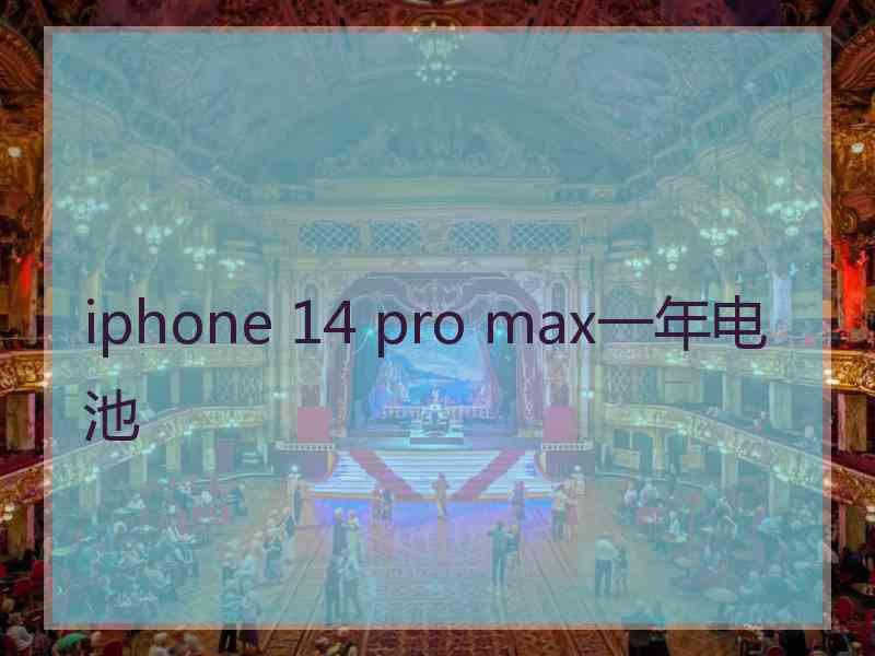 iphone 14 pro max一年电池
