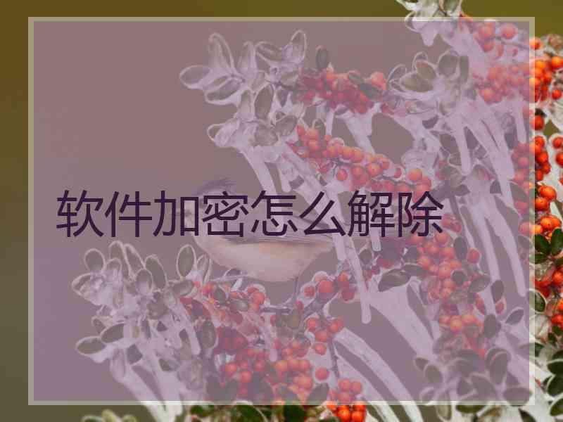 软件加密怎么解除