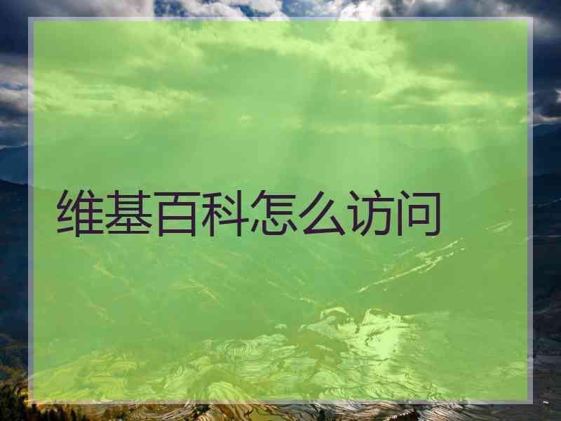 维基百科怎么访问