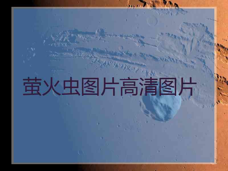萤火虫图片高清图片