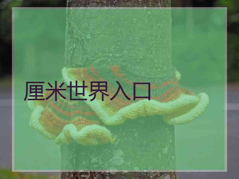 厘米世界入口