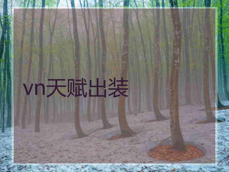 vn天赋出装