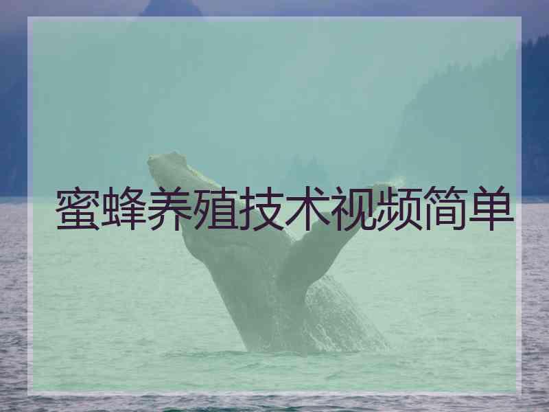 蜜蜂养殖技术视频简单