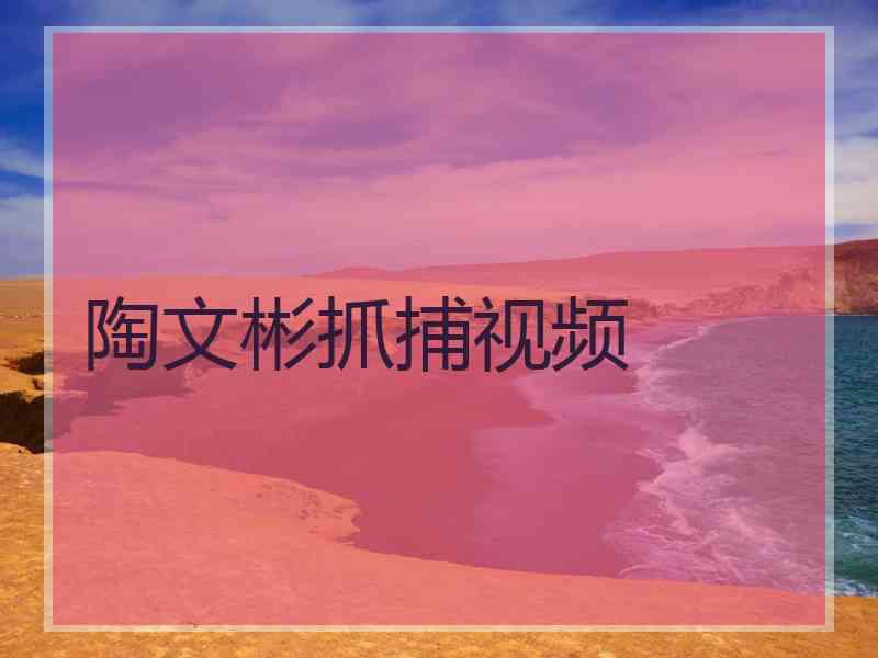 陶文彬抓捕视频