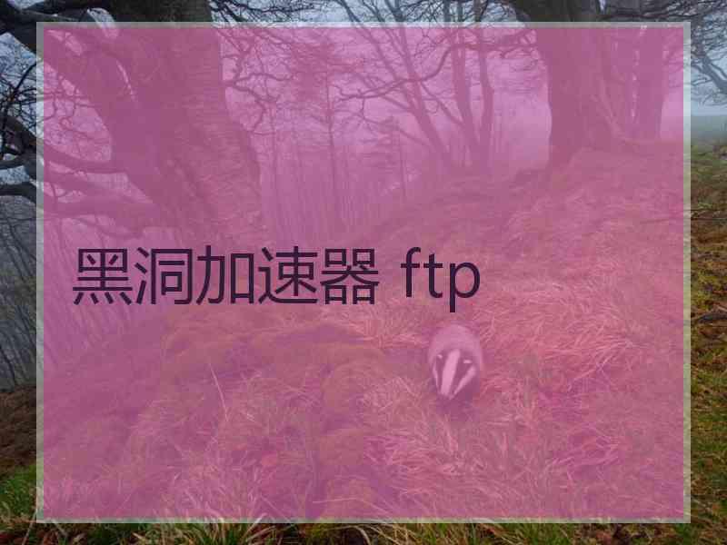 黑洞加速器 ftp