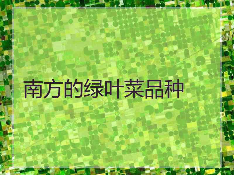 南方的绿叶菜品种