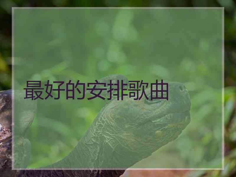 最好的安排歌曲