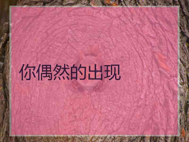 你偶然的出现