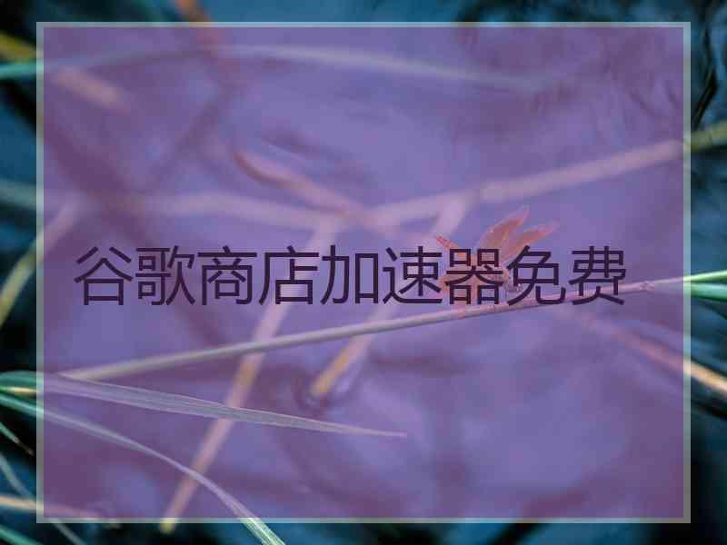 谷歌商店加速器免费