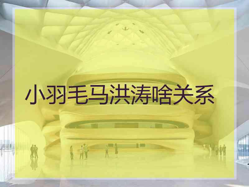 小羽毛马洪涛啥关系