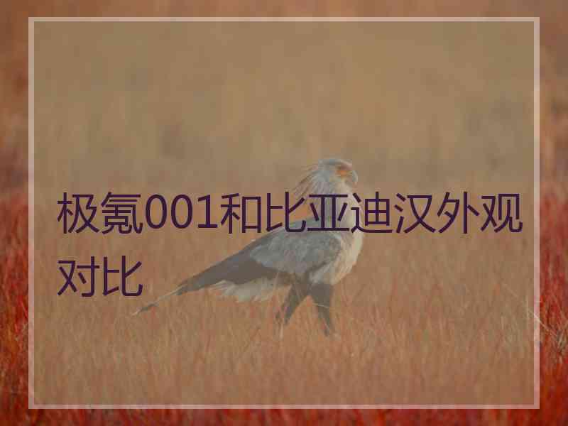 极氪001和比亚迪汉外观对比