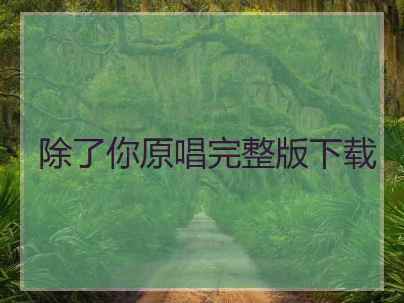 除了你原唱完整版下载