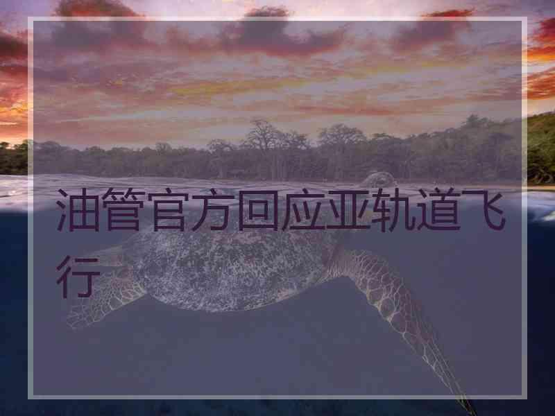 油管官方回应亚轨道飞行