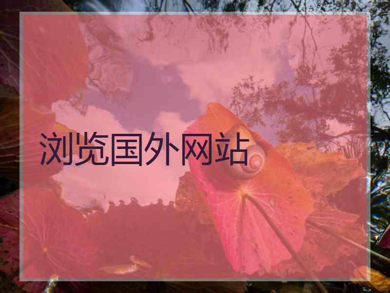 浏览国外网站