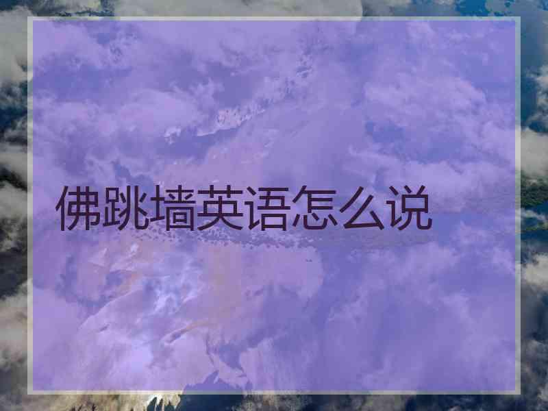 佛跳墙英语怎么说