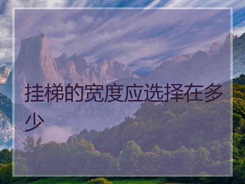 挂梯的宽度应选择在多少