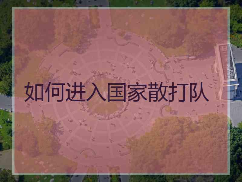 如何进入国家散打队