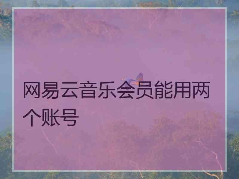 网易云音乐会员能用两个账号