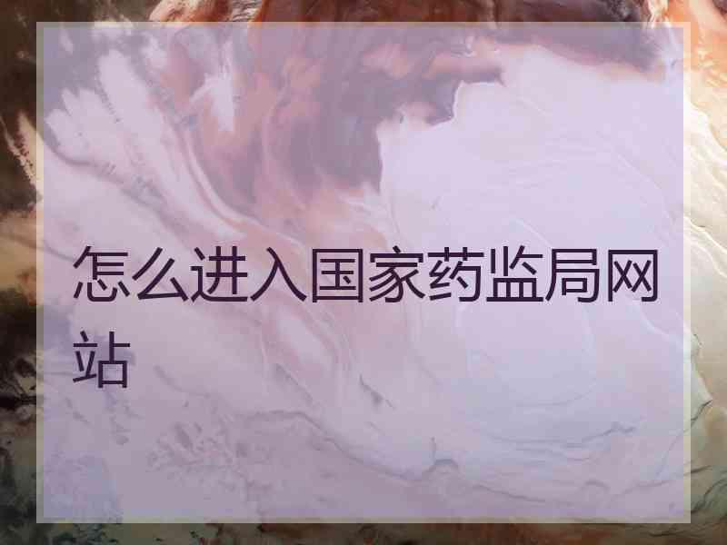 怎么进入国家药监局网站