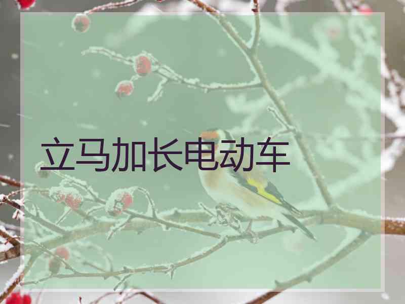 立马加长电动车