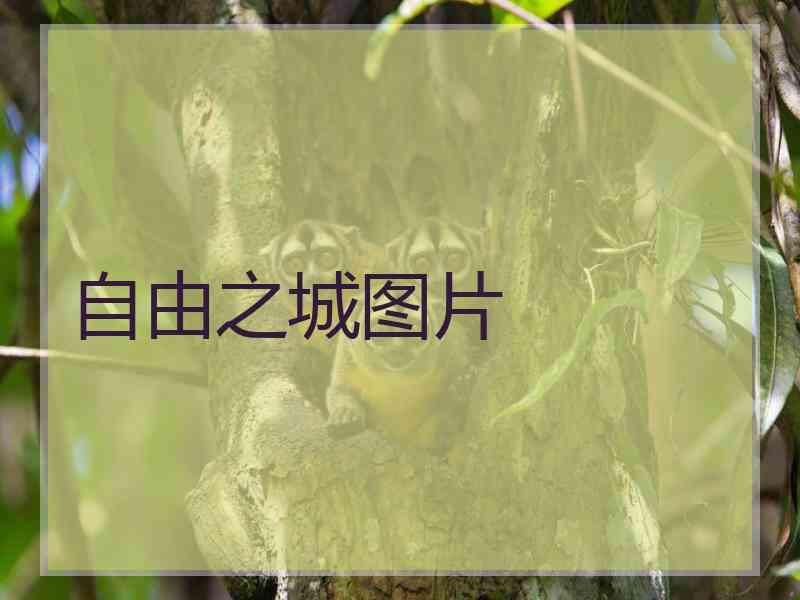 自由之城图片